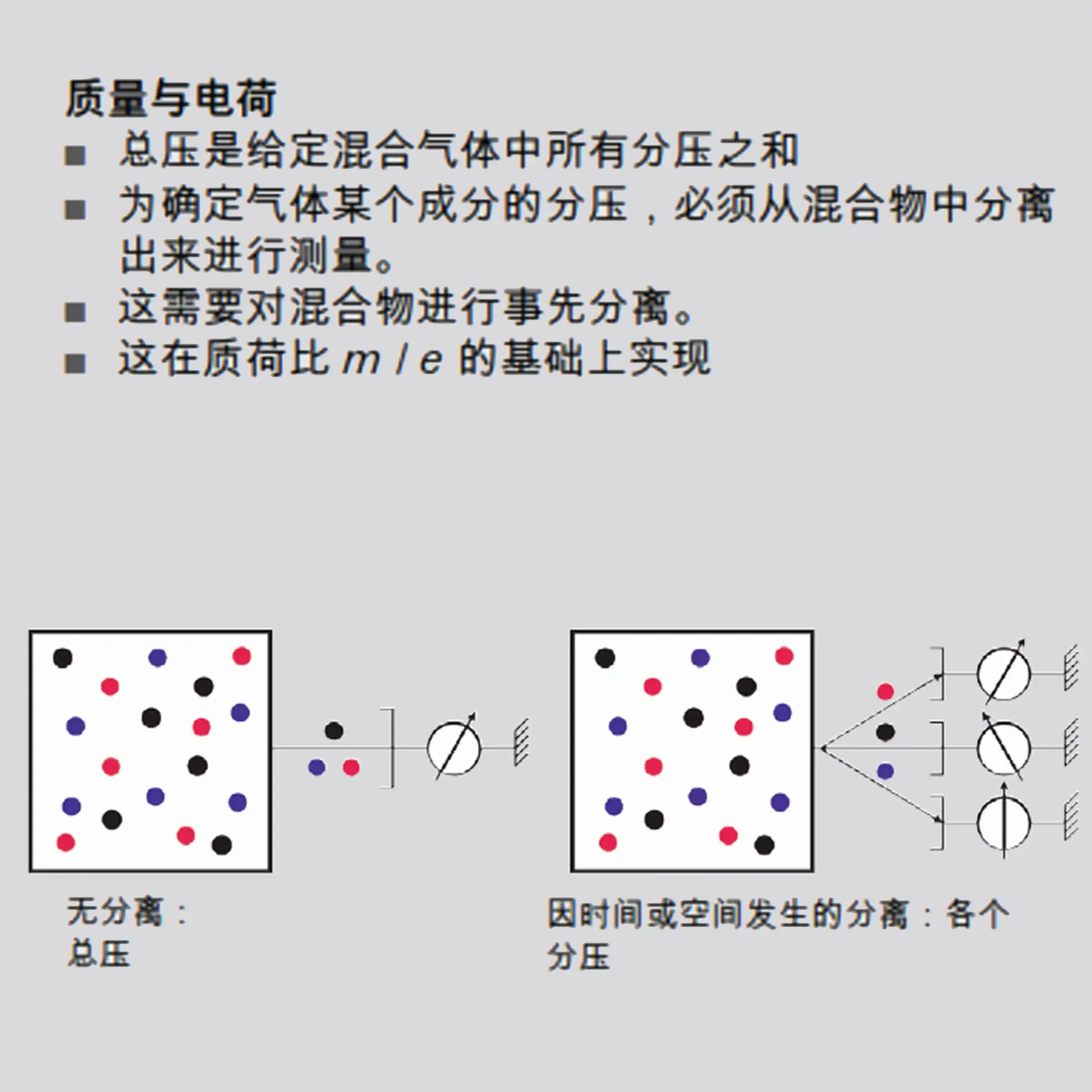 Img 6 1 Zh